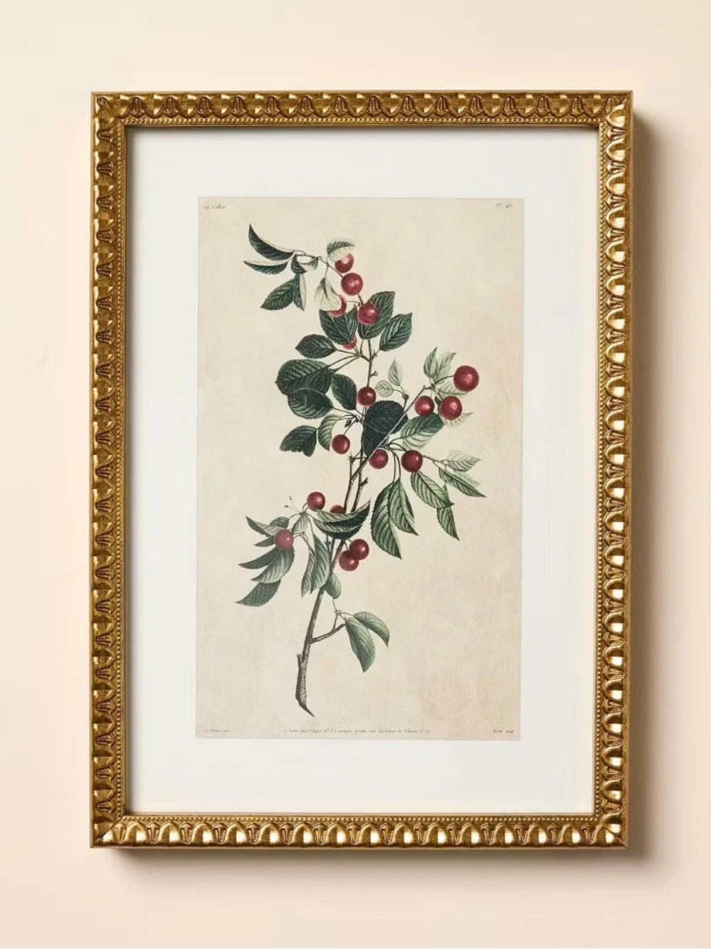 10"x14" Berry Branch Framed Wall Art - Hearth & Hand with Magnolia